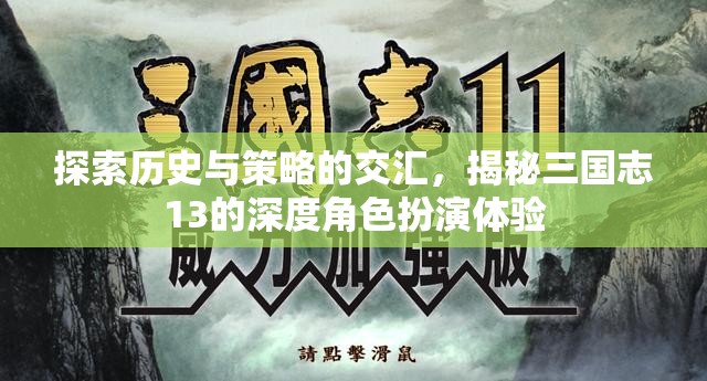 三國(guó)志13，歷史與策略的深度交匯，揭秘角色扮演的獨(dú)特體驗(yàn)