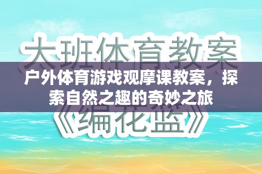 探索自然之趣，戶外體育游戲觀摩課教案的奇妙之旅