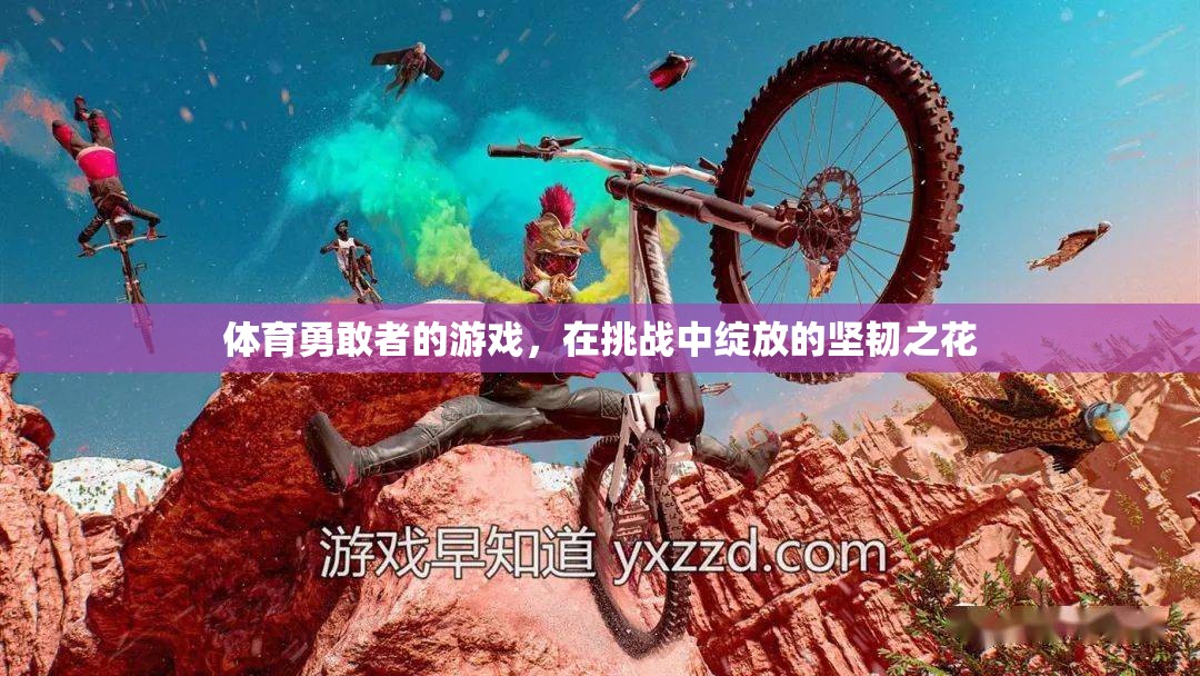 體育勇敢者的游戲，在挑戰(zhàn)中綻放的堅(jiān)韌之花