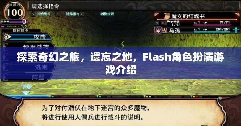 探索奇幻之旅，遺忘之地的Flash角色扮演游戲