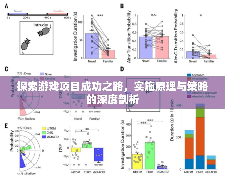 探索游戲項目成功之路，實施原理與策略的深度剖析