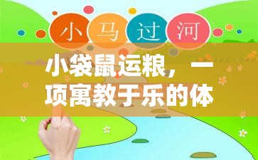 寓教于樂(lè)，小袋鼠運(yùn)糧體育游戲教案設(shè)計(jì)