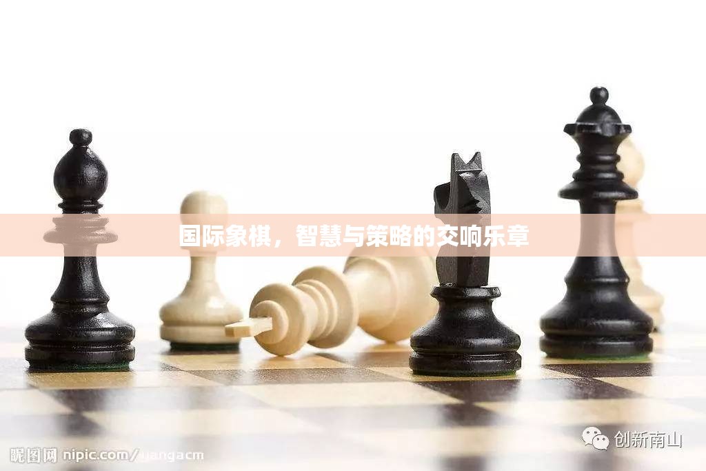 智慧與策略的交響，國際象棋的魅力