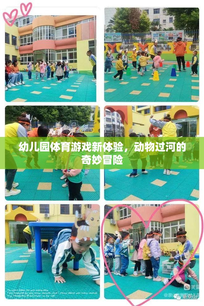 幼兒園體育游戲新體驗(yàn)，動(dòng)物過河的奇妙冒險(xiǎn)