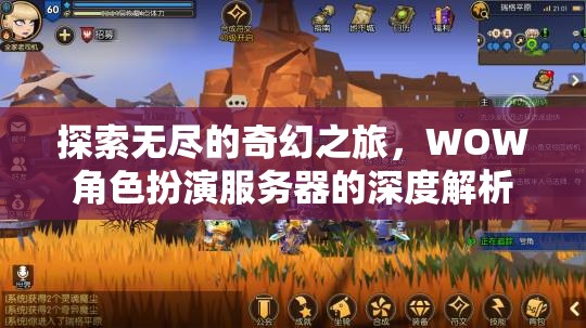 探索奇幻之旅，WOW角色扮演服務(wù)器的深度解析