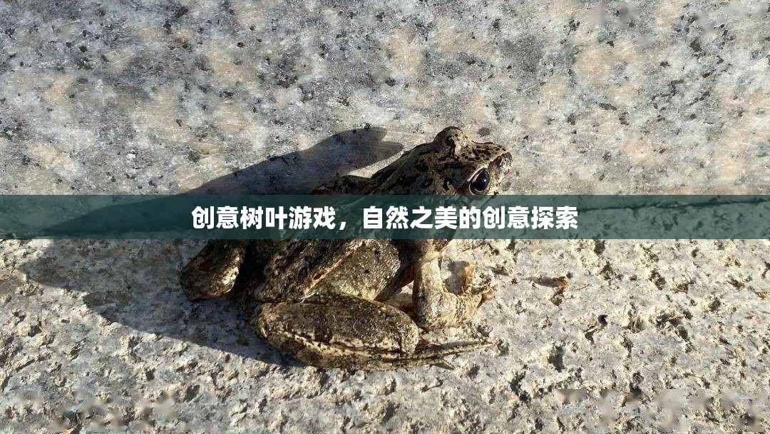 創(chuàng)意樹葉游戲，自然之美的創(chuàng)意探索