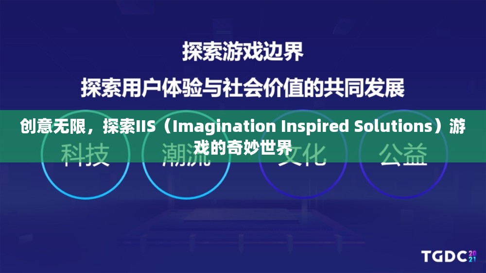 IIS（Imagination Inspired Solutions）游戲，解鎖創(chuàng)意無限的游戲世界