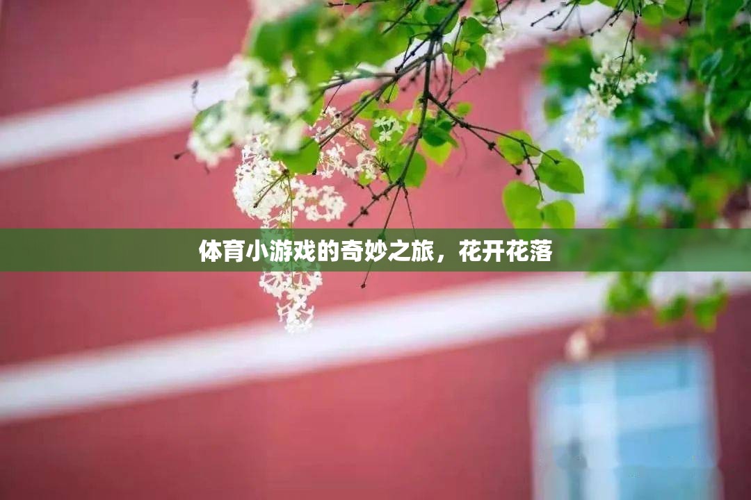 體育小游戲的奇妙之旅，花開(kāi)花落的樂(lè)趣