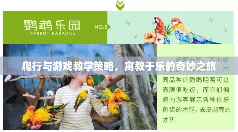 寓教于樂(lè)，爬行與游戲教學(xué)策略的奇妙之旅