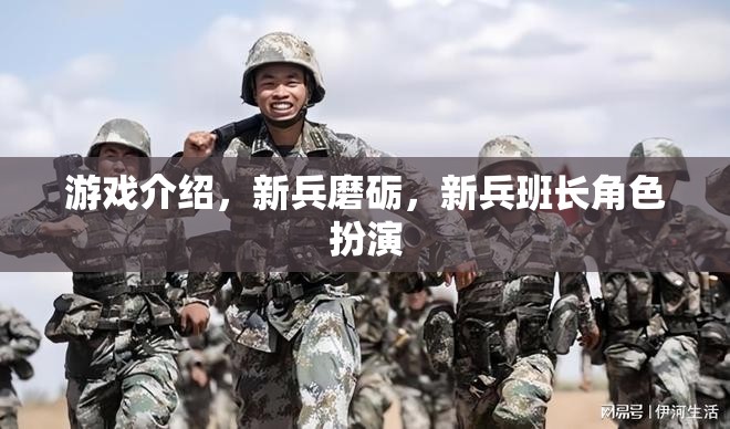 游戲介紹，新兵磨礪，新兵班長(zhǎng)角色扮演