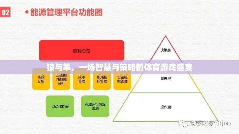 狼與羊，一場智慧與策略的體育游戲盛宴