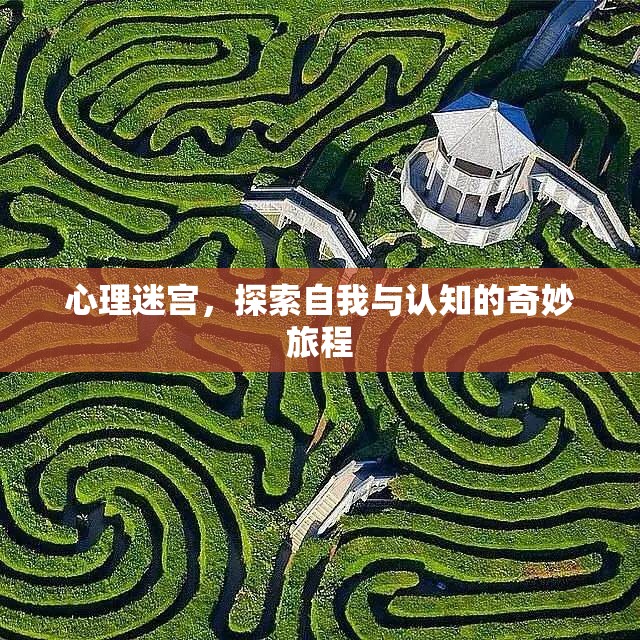 心理迷宮，一場(chǎng)探索自我與認(rèn)知的奇妙旅程