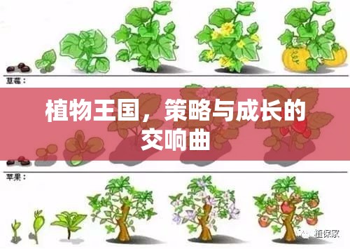 植物王國，策略與成長的交響曲