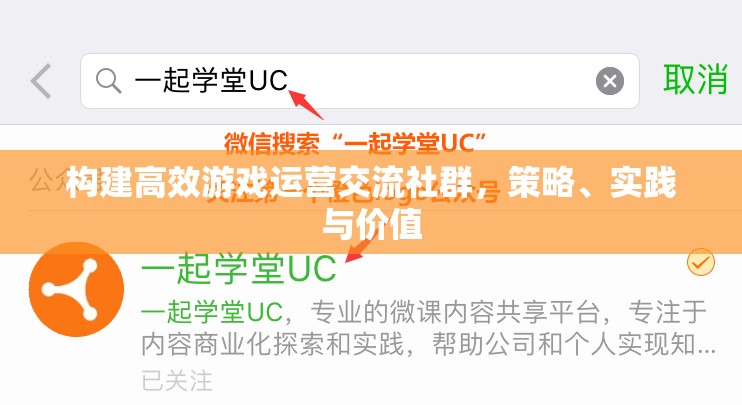 構(gòu)建高效游戲運(yùn)營交流社群，策略、實(shí)踐與價值