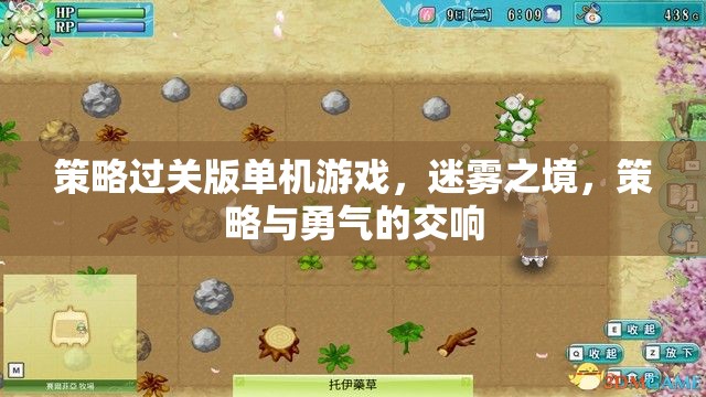 迷霧之境，策略與勇氣的交響