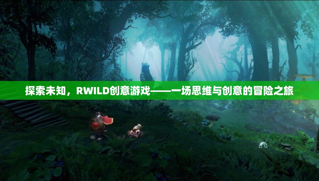 RWILD創(chuàng)意游戲，一場(chǎng)探索未知的思維與創(chuàng)意冒險(xiǎn)之旅