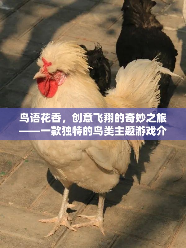 鳥語(yǔ)花香，創(chuàng)意飛翔的奇妙之旅——一款獨(dú)特的鳥類主題游戲介紹