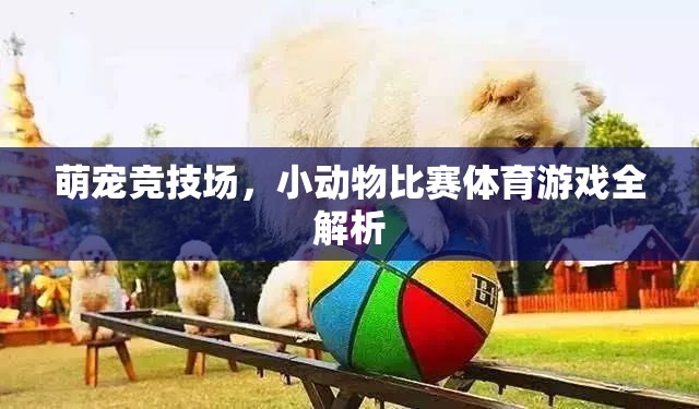 萌寵競技場，小動物比賽體育游戲全解析