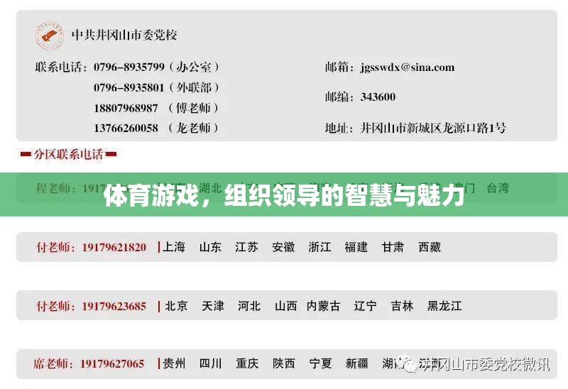 體育游戲中的領(lǐng)導(dǎo)智慧與魅力，激發(fā)團(tuán)隊(duì)潛能的秘訣