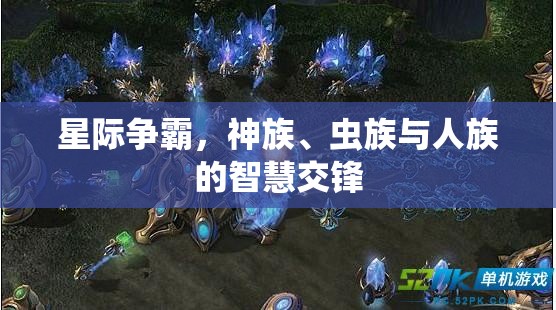 星際爭霸，神族、蟲族與人族的智慧對決