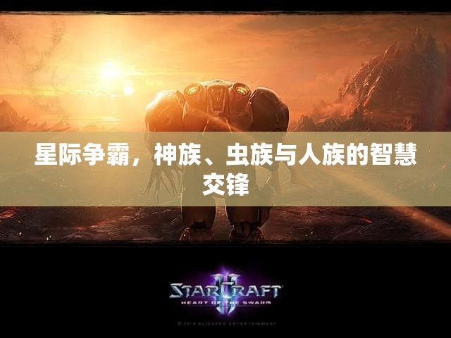 星際爭霸，神族、蟲族與人族的智慧對決