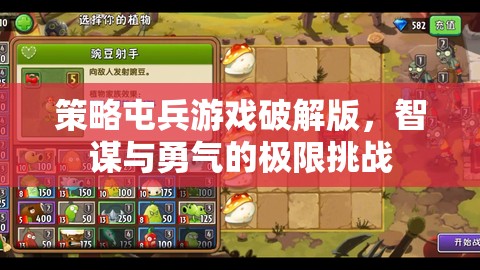 策略屯兵游戲破解版，智謀與勇氣的極限挑戰(zhàn)