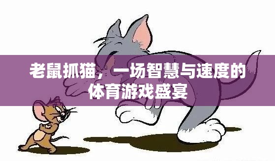 智速對決，老鼠抓貓的體育游戲盛宴