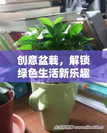 創(chuàng)意盆栽，解鎖綠色生活新樂趣的趣味游戲