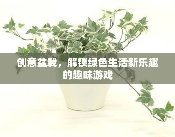 創(chuàng)意盆栽，解鎖綠色生活新樂趣的趣味游戲