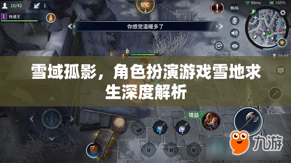 雪域孤影，雪地求生角色扮演游戲深度解析