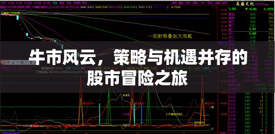 牛市風(fēng)云，策略與機遇并存的股市冒險之旅