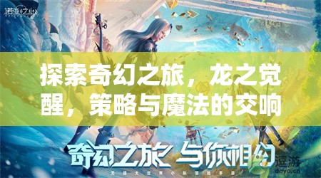 龍之覺醒，可變龍策略游戲的奇幻之旅與策略魔法交響