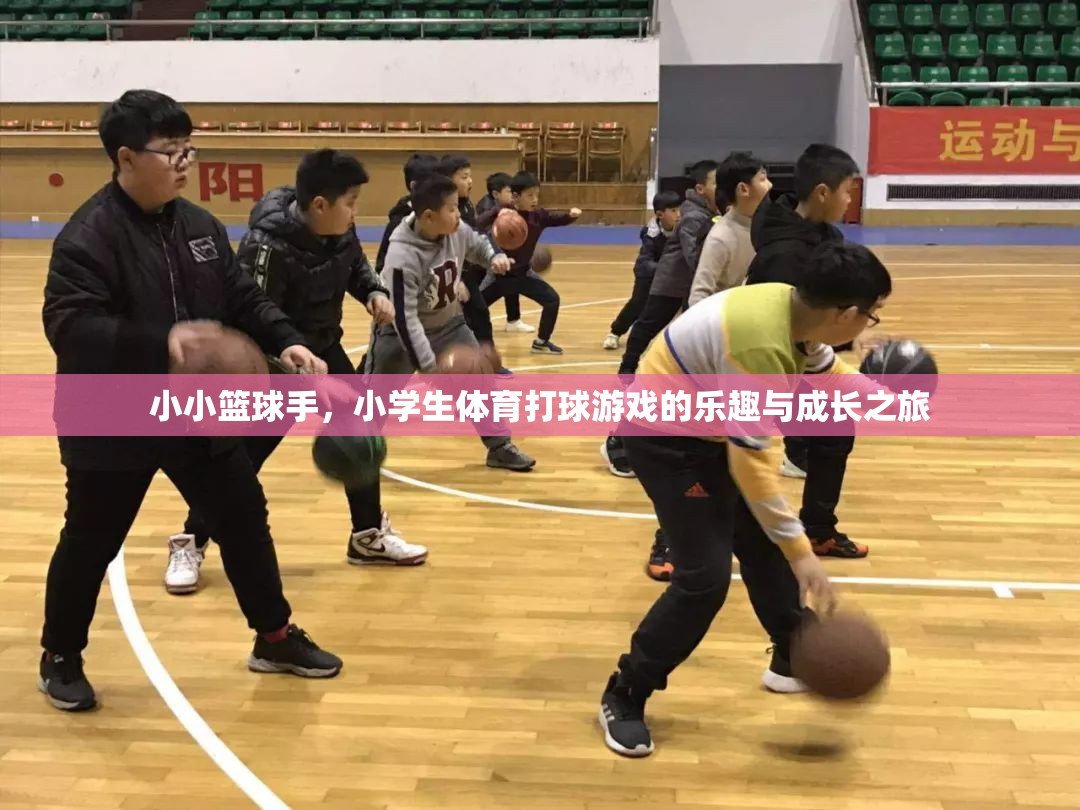 小小籃球手，小學生體育打球游戲的樂趣與成長之旅