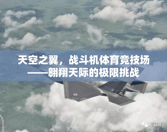 天空之翼，戰(zhàn)斗機體育競技場——極限挑戰(zhàn)的翱翔之旅