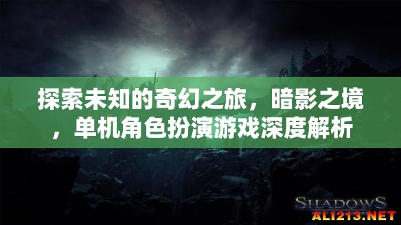 暗影之境，探索未知的奇幻之旅——單機角色扮演游戲深度解析