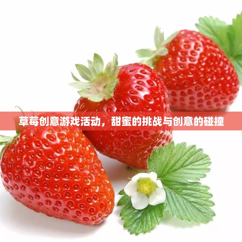 草莓創(chuàng)意游戲，甜蜜挑戰(zhàn)與創(chuàng)意的火花碰撞