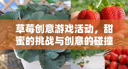 草莓創(chuàng)意游戲，甜蜜挑戰(zhàn)與創(chuàng)意的火花碰撞