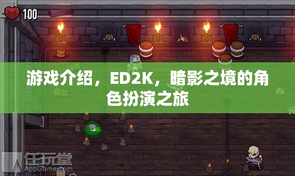 ED2K暗影之境，沉浸式角色扮演的奇幻之旅