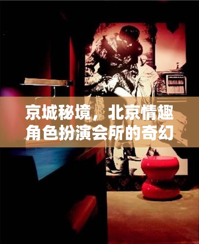 京城秘境，北京情趣角色扮演會(huì)所的奇幻探索之旅