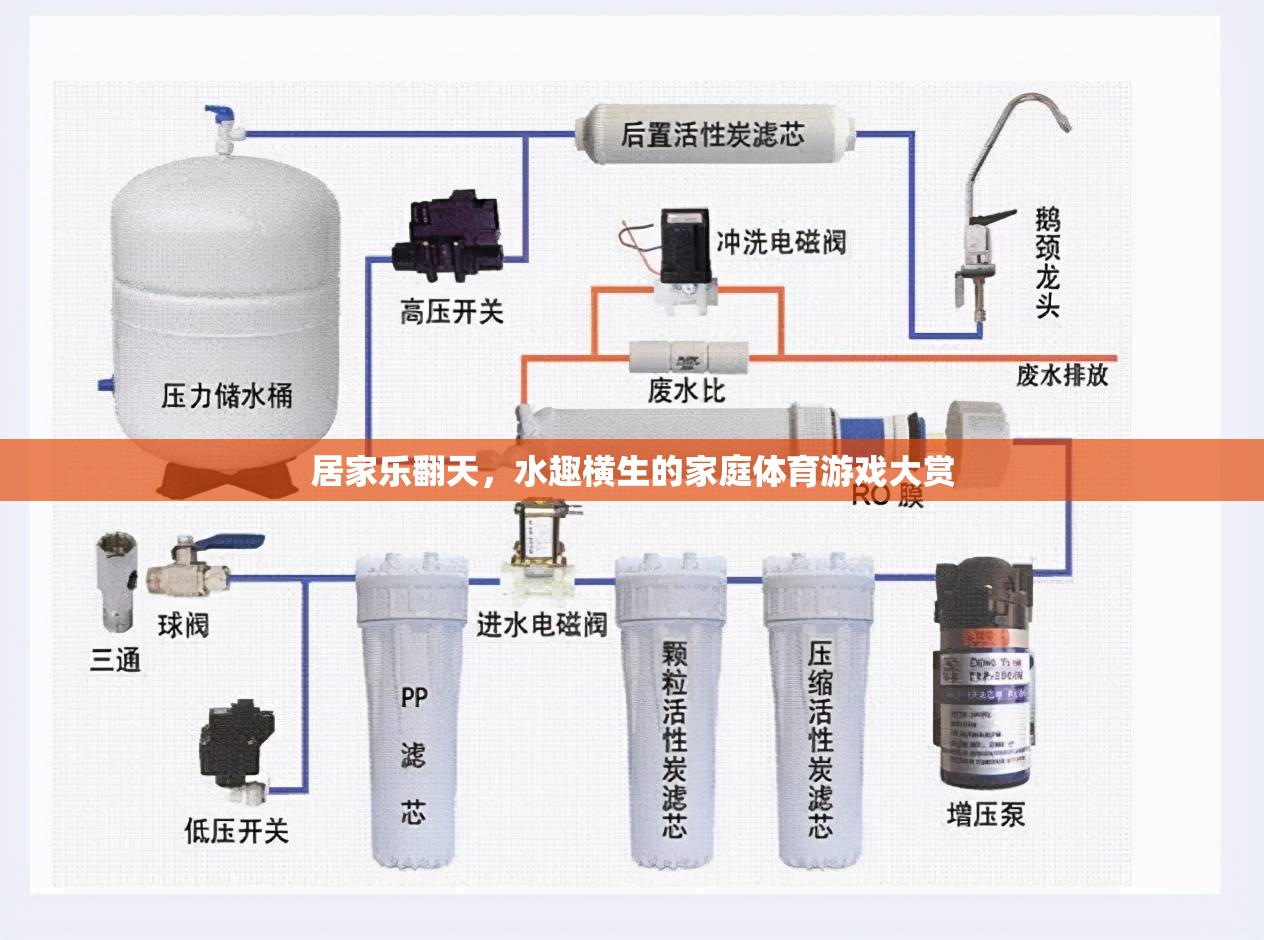 家庭水趣橫生，居家樂翻天的體育游戲大賞