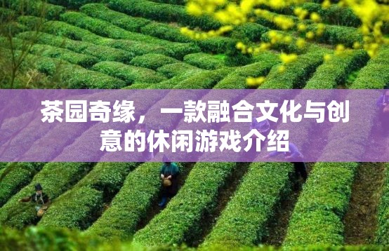 茶園奇緣，文化與創(chuàng)意的休閑游戲之旅