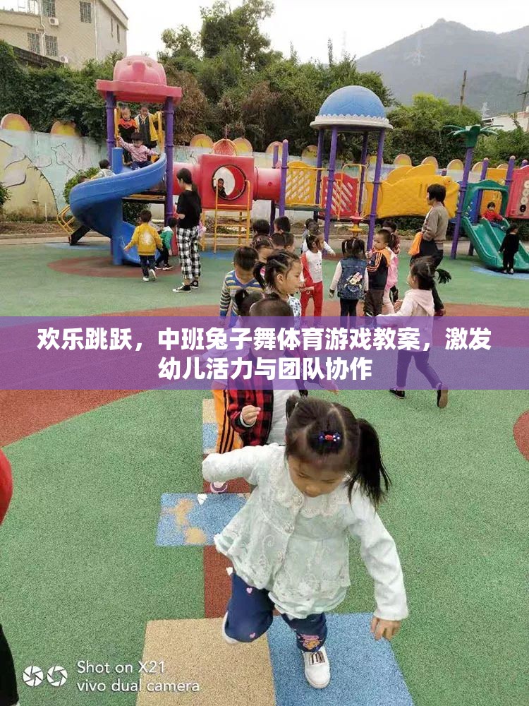 歡樂跳躍，中班兔子舞體育游戲教案，激發(fā)幼兒活力與團(tuán)隊協(xié)作