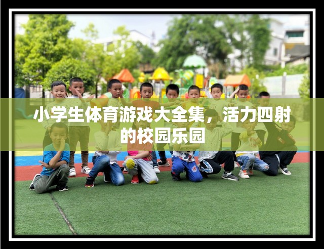 小學生體育游戲大全集，打造活力四射的校園樂園