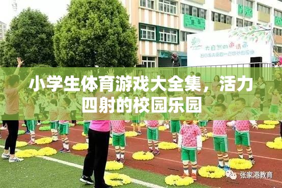 小學生體育游戲大全集，打造活力四射的校園樂園