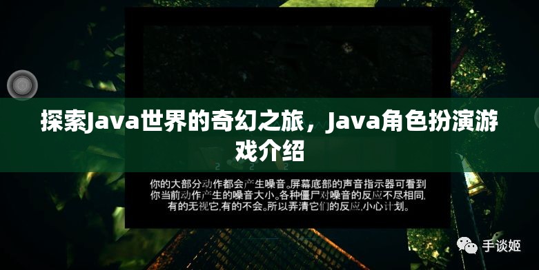 探索Java世界的奇幻之旅，Java角色扮演游戲介紹