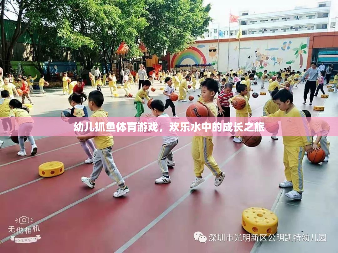 幼兒抓魚(yú)體育游戲，歡樂(lè)水中的成長(zhǎng)之旅