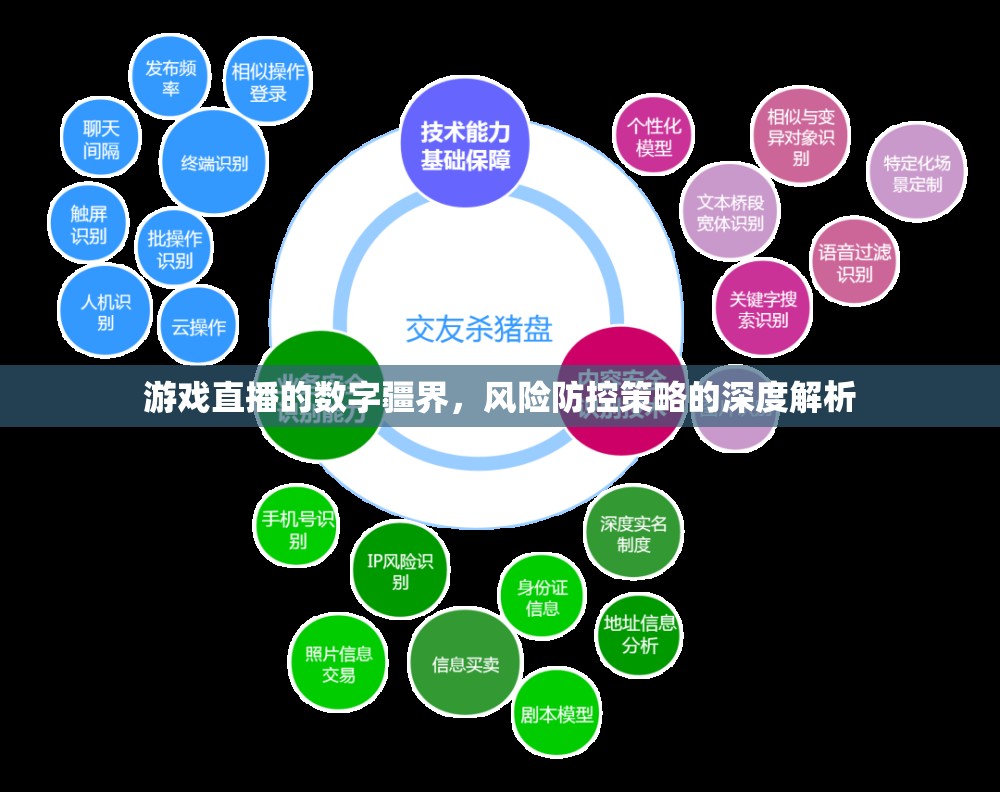 游戲直播的數(shù)字疆界，風(fēng)險防控策略的深度解析