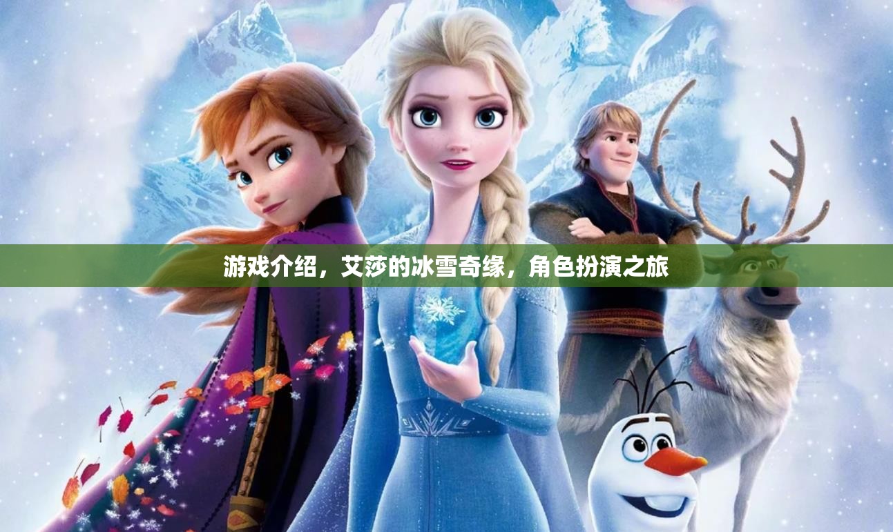 艾莎的冰雪奇緣，角色扮演之旅