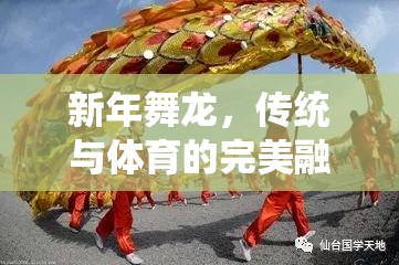 新年舞龍，傳統(tǒng)文化的現(xiàn)代體育演繹——?jiǎng)?chuàng)意體育游戲教案