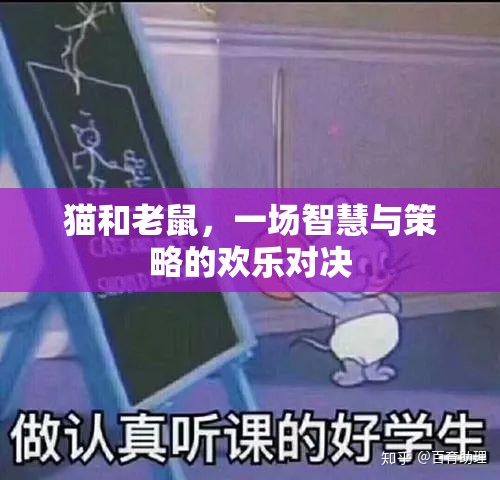 貓和老鼠，一場智慧與策略的歡樂對決